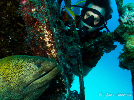 Aarhus Wreck and Smith Rock Double Dive