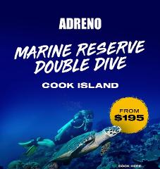 Cook Island Marine Reserve Double Dive Trip