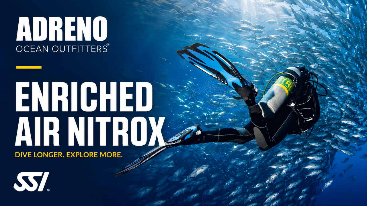 SSI Nitrox Diving Course - Brisbane