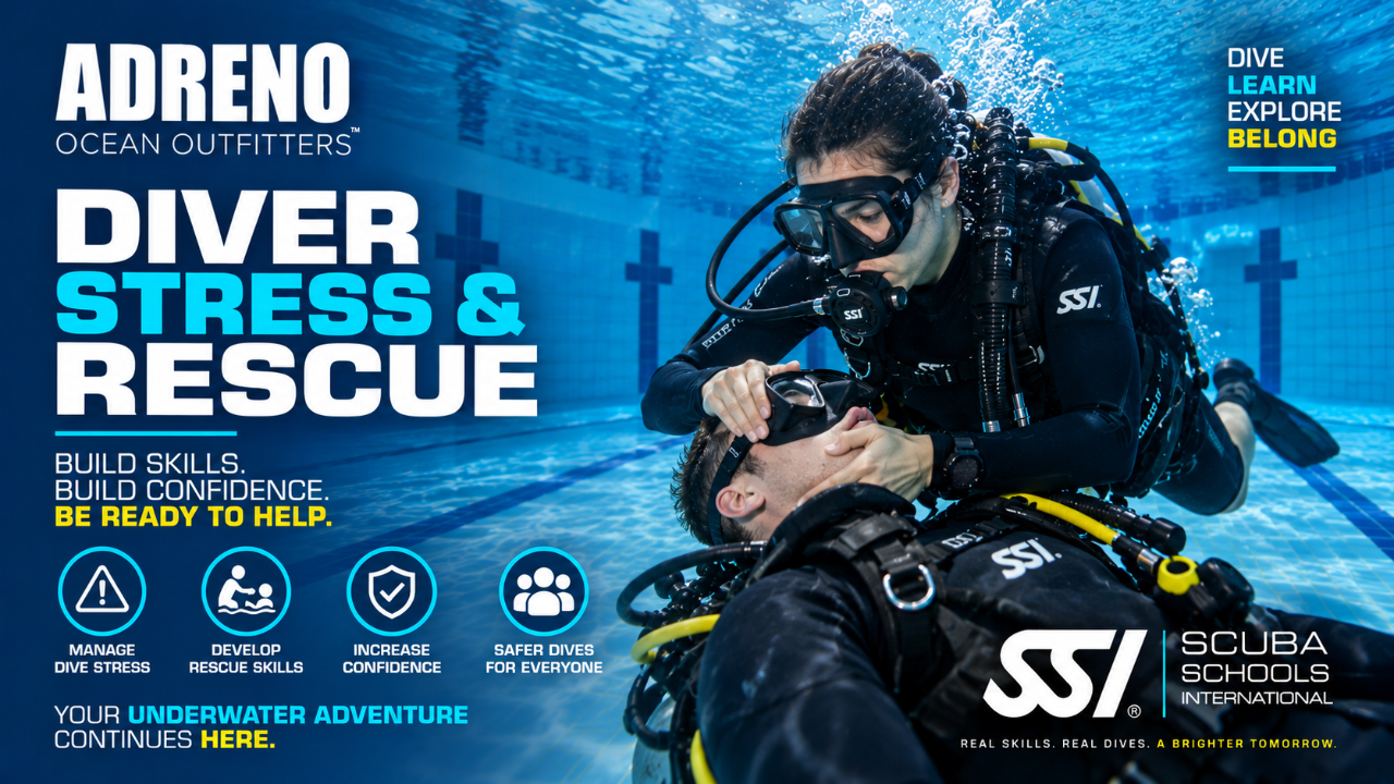 SSI Diver Stress and Rescue Course - Brisbane