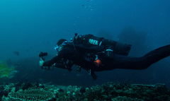 Adreno Explorer Diver Double Dives