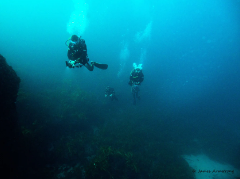 Adreno Explorer Diver Triple Dives