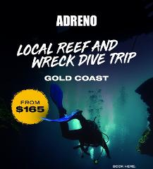 Gold Coast Local Reef and Wreck Dive Trip 