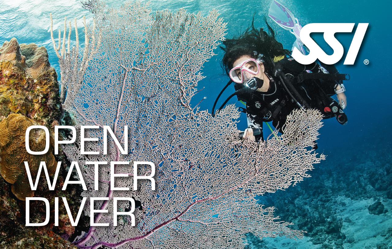 SSI Open Water Diver Course - Adreno Sydney