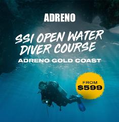 SSI Open Water Diver Course - Adreno Gold Coast