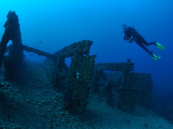 Cementco Wreck and Flinders Reef Night Dive Trip