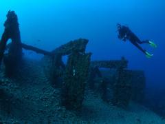 Cementco Wreck and Flinders Reef Night Dive Trip