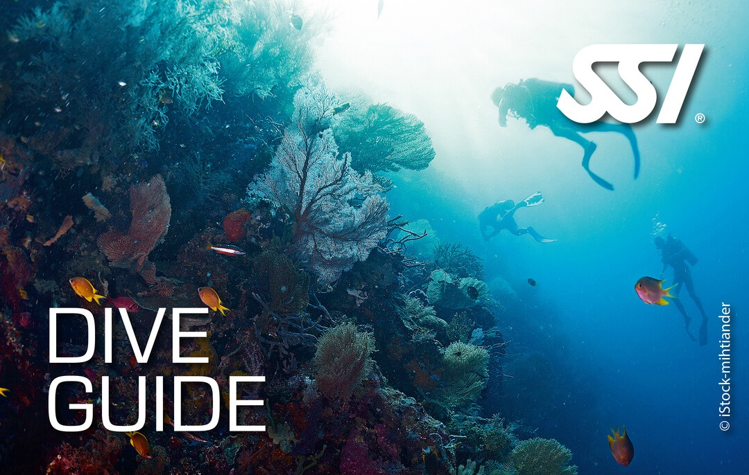 SSI Dive Guide Course - Brisbane