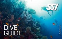 SSI Dive Guide Course - Brisbane