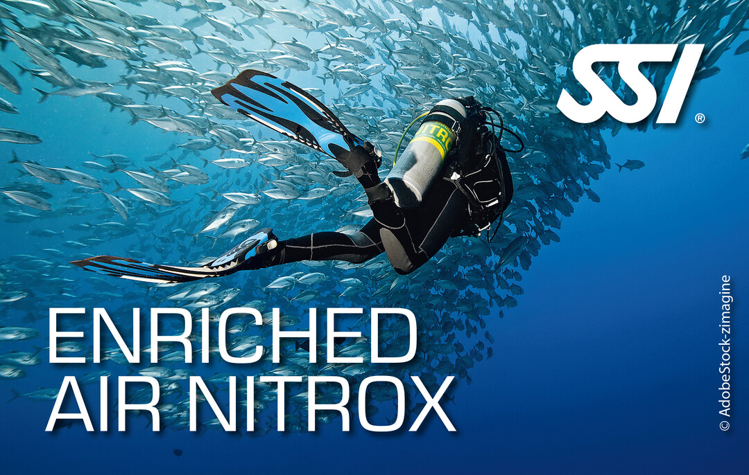 SSI Nitrox Diving Course - Gold Coast