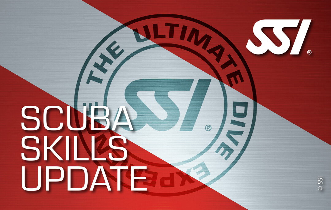 SSI Scuba Skills Update Program (Refresher) - Gold Coast