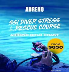 SSI Diver Stress and Rescue Course - Adreno Gold Coast