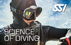 SSI Science of Diving Course - Brisbane