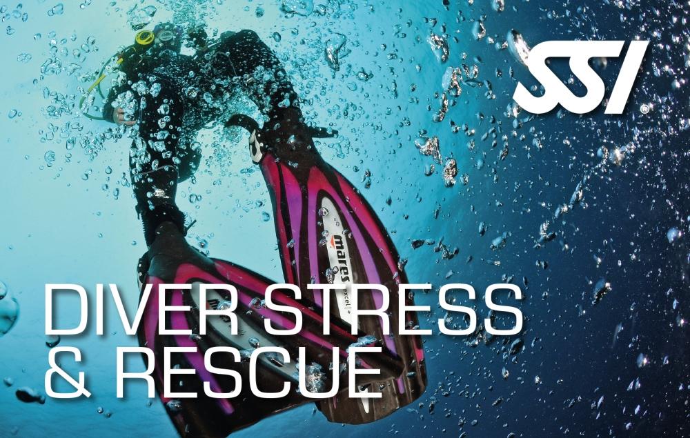 SSI Diver Stress and Rescue Specialty Course - Brisbane