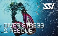 SSI Diver Stress and Rescue Specialty Course - Brisbane