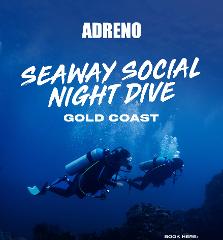 Seaway Social Night Dive - Gold Coast 