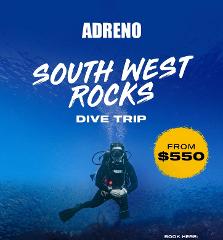 South West Rocks Dive Trip
