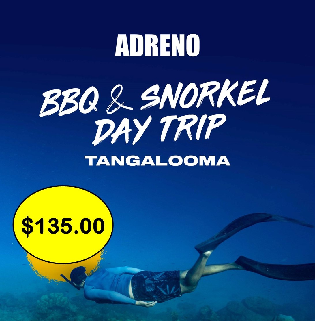 Tangalooma BBQ and Snorkel Day Trip