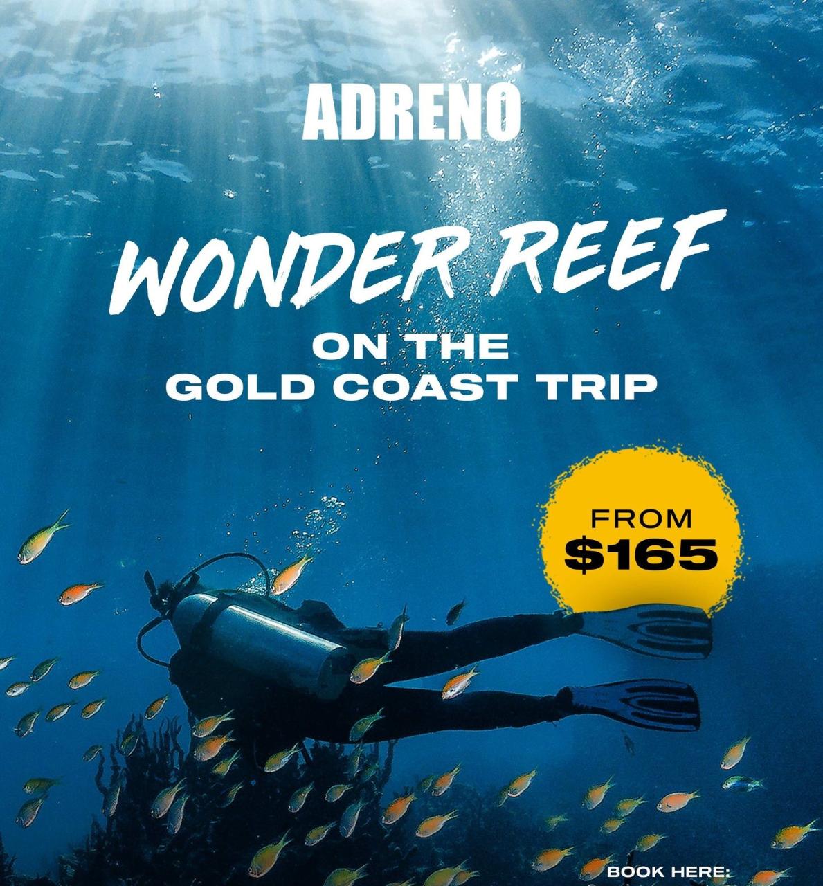 Wonder Reef On The Gold Coast - Adreno - Ocean Outfitters