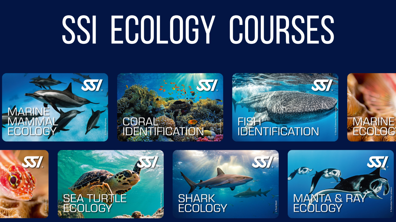 Copy of SSI Ecology Courses - Online Only