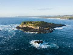 Cook Island Marine Reserve Dive Trip
