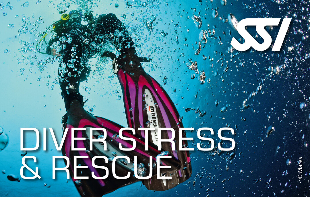 SSI Diver Stress and Rescue Specialty Course - Gold Coast