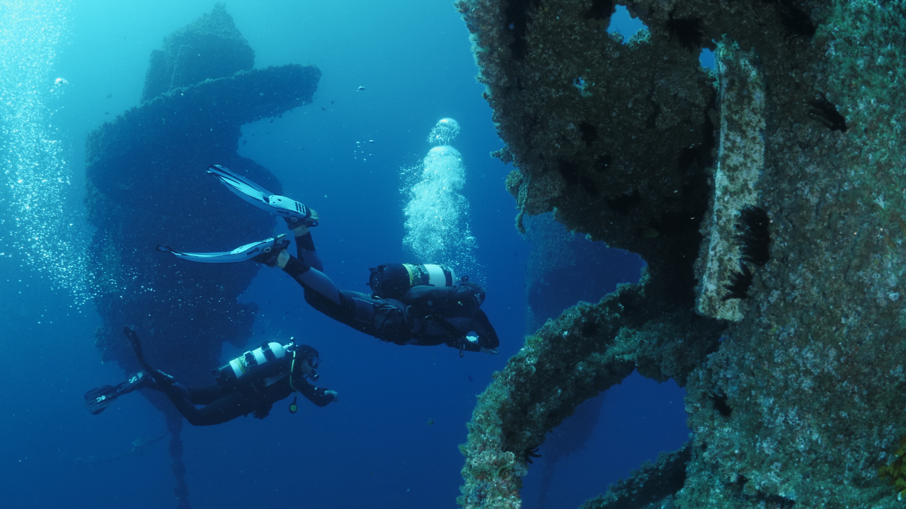 Wonder Reef On The Gold Coast Dive Trip