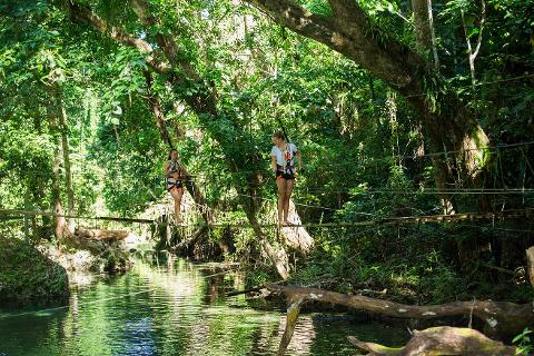 Bridges of Eden