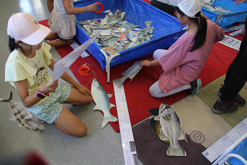 Fishing & Crabbing for Sustainability- Children's Activity