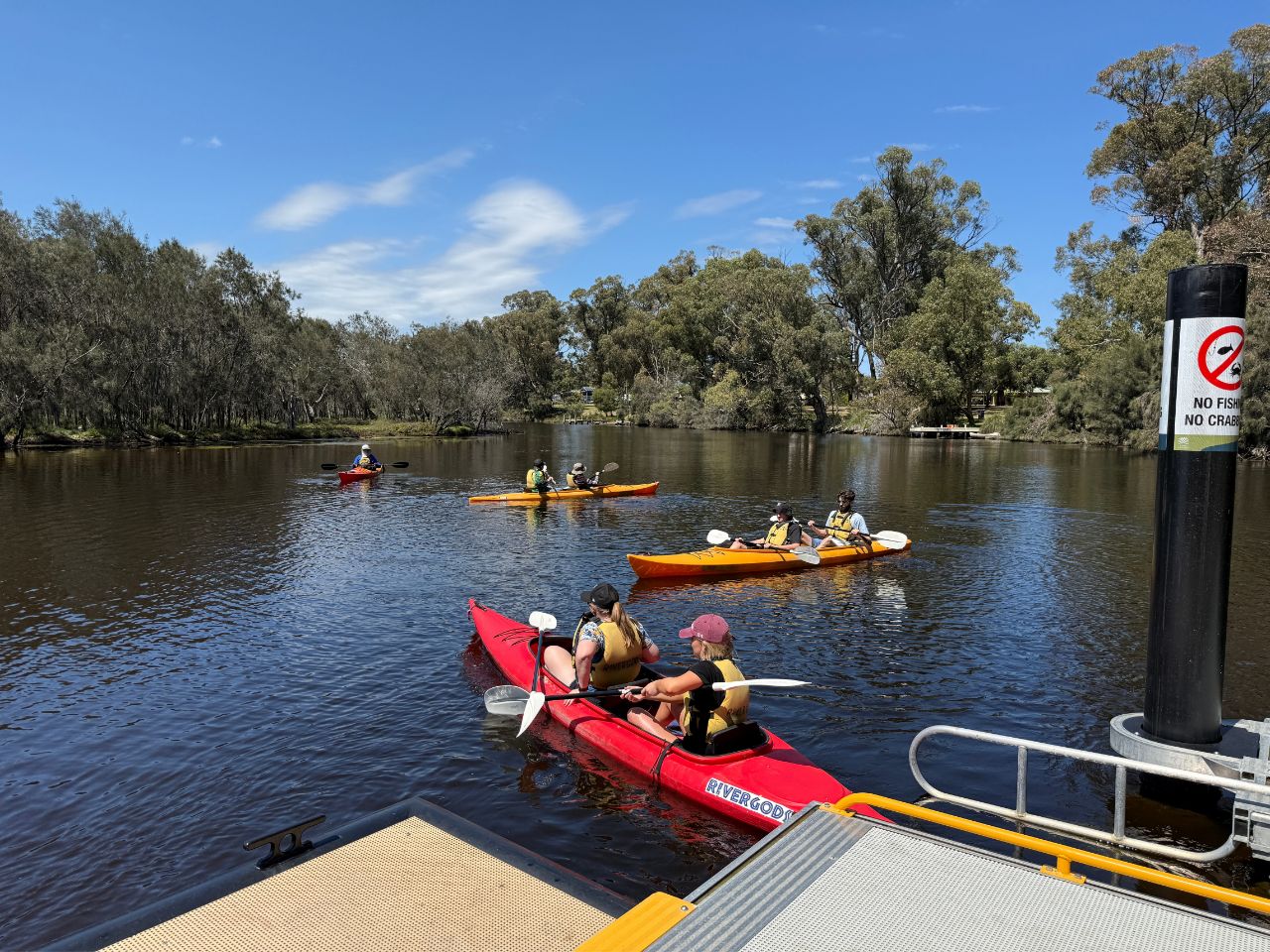 Serpentine Guided Paddle Tour