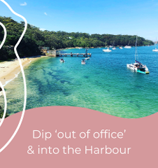 Sneaky Midweeky - Private catamaran charter w/ lunch