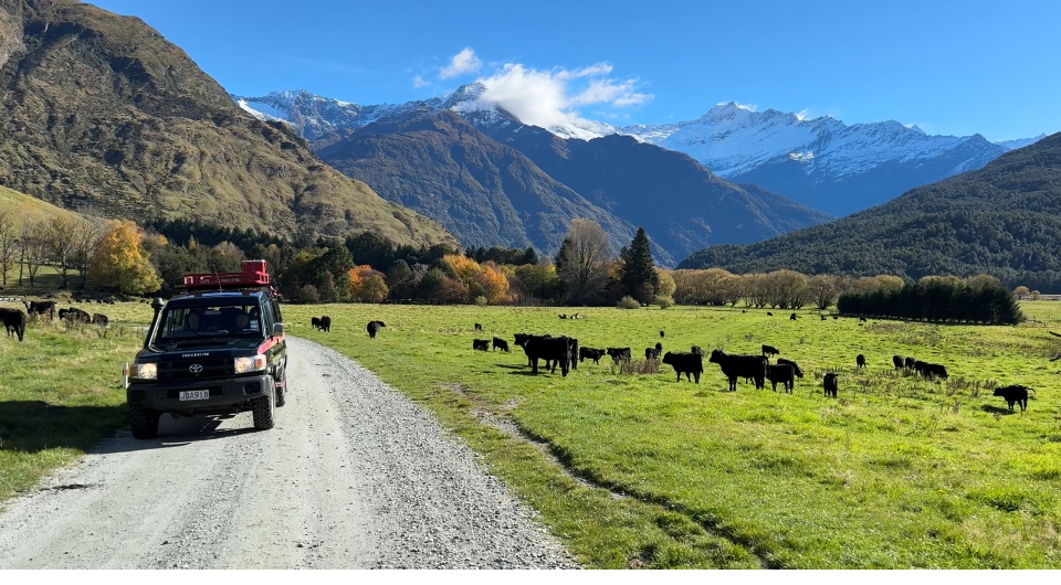 2025 Rob Roy Glacier Safari