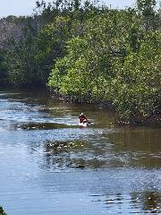 Kayaking Tour 8.5 Mile Turner River Kayak Trail (one way)