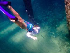 Snorkeling Tour 90 Minute Atlantic Ocean Adventure from Shore