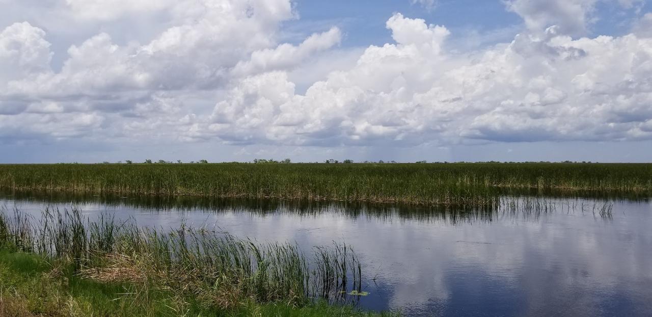 8-Day Florida Everglades Kayaking Tour