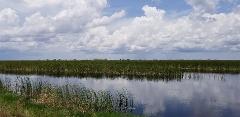 8-Day Florida Everglades Kayaking Tour