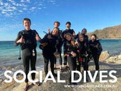 FREE Social Dives