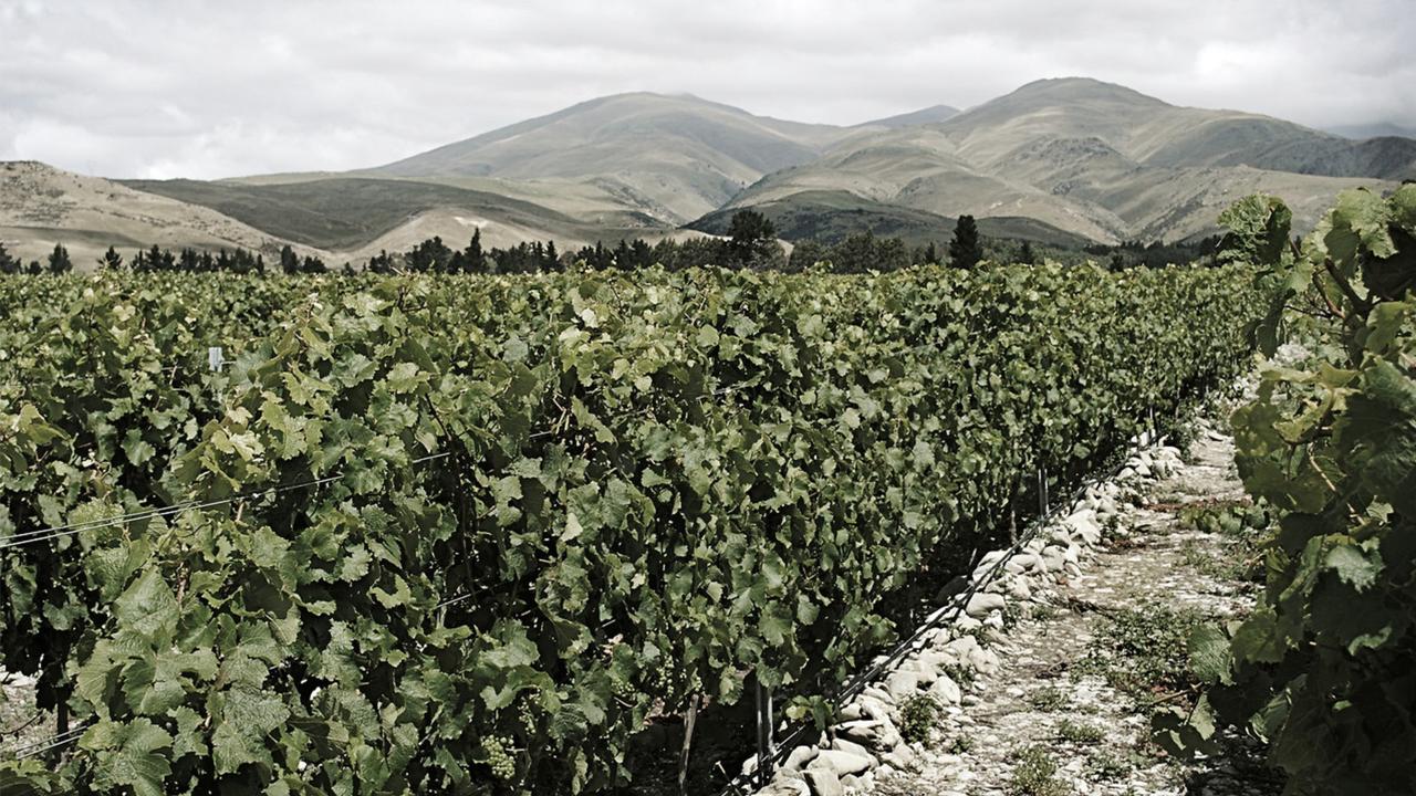 Kinross Winery: Valli Wine Experience — Central Otago - Photo 3