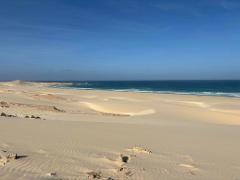 Unforgettable Private Boa Vista Island Half Day Tour