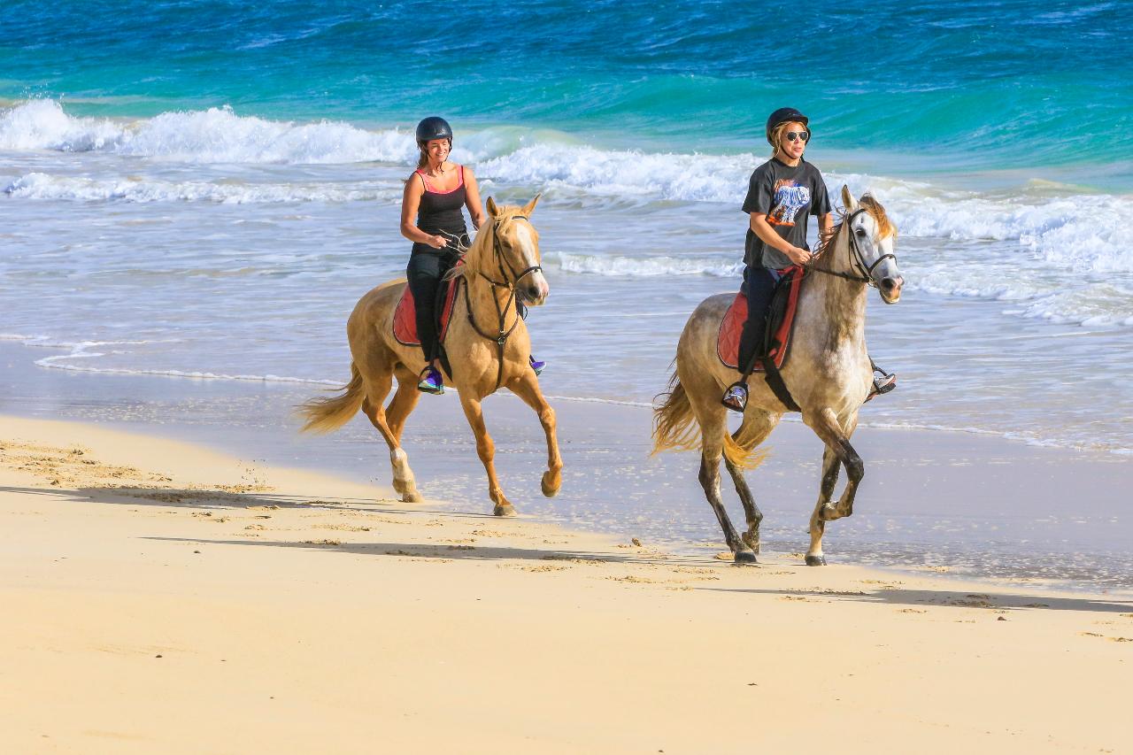 Private Horse excursions salt flats and kite beach trail