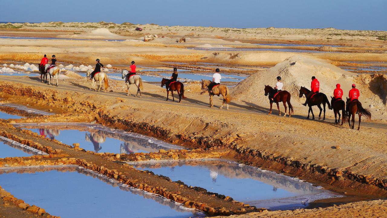 Horse excursions salt flats trail