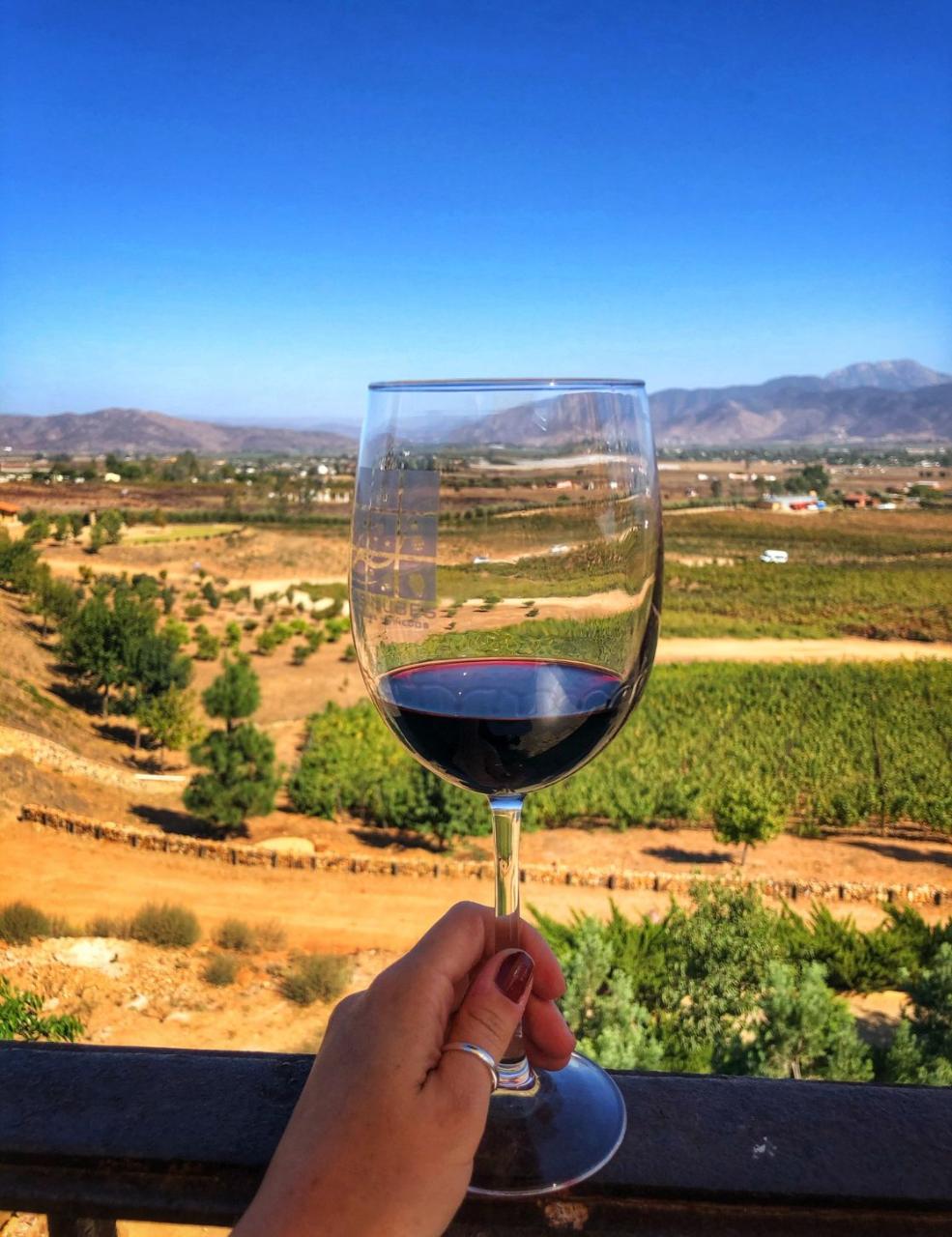 Private Valle de Guadalupe Wine Tasting Tour