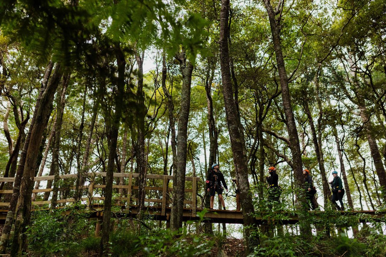Man O' War Forest Flight — Waiheke Island - Photo 4