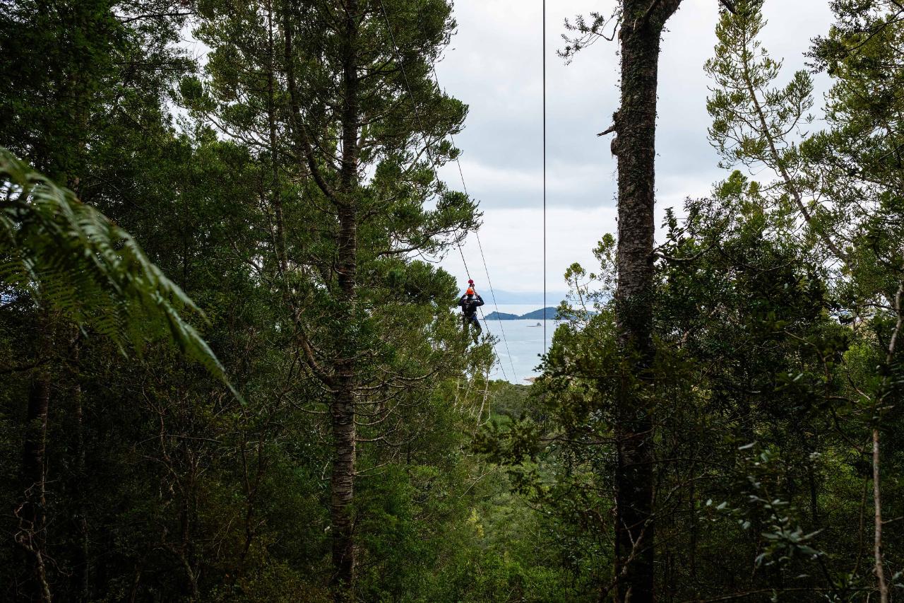 Man O' War Forest Flight — Waiheke Island - Photo 2
