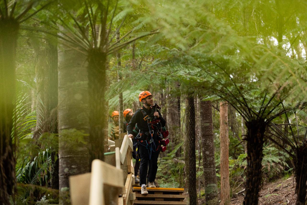 Man O' War Forest Flight — Waiheke Island - Photo 5