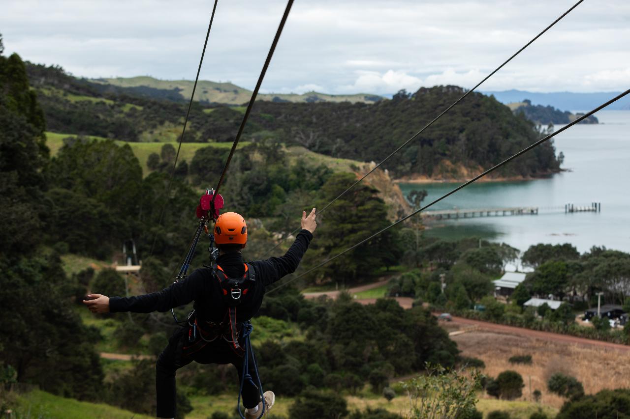Man O' War Forest Flight — Waiheke Island - Photo 3