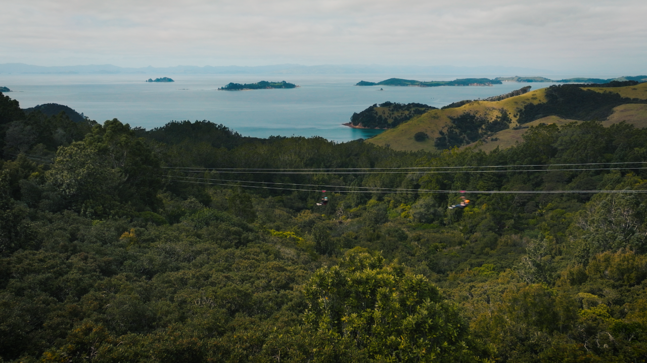 Man O' War Forest Flight — Waiheke Island - Photo 1