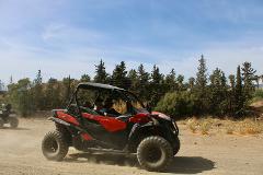 2 Hour Buggy Tour - 2 Seater Buggy