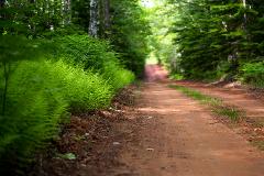 Anne of Green Gables & PEI North Shore Private Tour