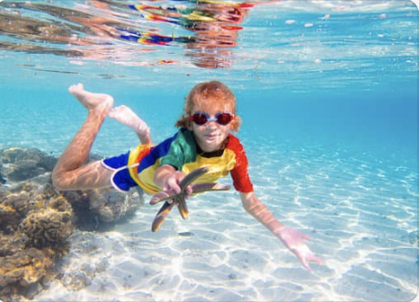 Sand Bank Snorkel